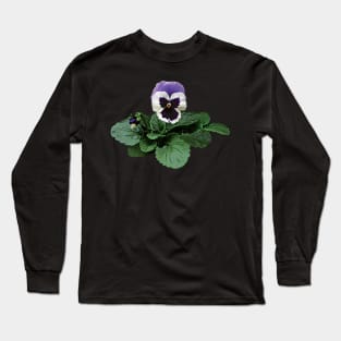 Pansies - Pansy Takes a Bow Long Sleeve T-Shirt